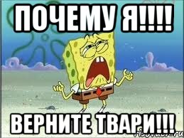 почему я!!! верните твари!!!, Мем Спанч Боб плачет