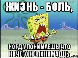 жизнь - боль, когда понимаешь,что ничего не понимаешь, Мем Спанч Боб плачет