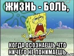 жизнь - боль, когда осознаешь,что ничего не понимаешь, Мем Спанч Боб плачет