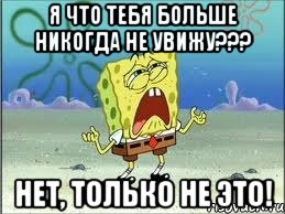 я что тебя больше никогда не увижу??? нет, только не это!, Мем Спанч Боб плачет