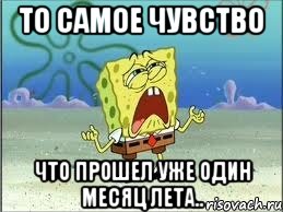 то самое чувство что прошел уже один месяц лета.., Мем Спанч Боб плачет