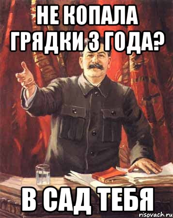 не копала грядки 3 года? в сад тебя, Мем  сталин цветной