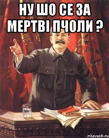 ну шо се за мертві пчоли ? , Мем  сталин цветной