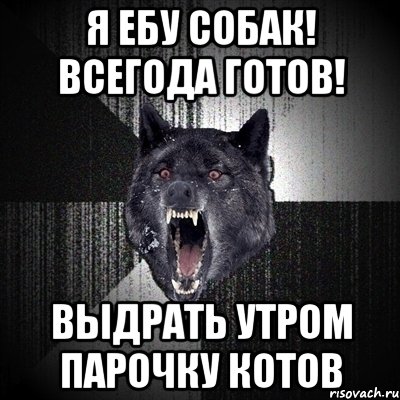 я ебу собак! всегода готов! выдрать утром парочку котов, Мем Сумасшедший волк