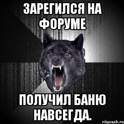 зарегился на форуме получил баню навсегда., Мем Сумасшедший волк