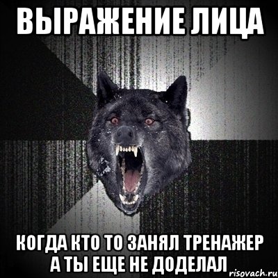 выражение лица когда кто то занял тренажер а ты еще не доделал, Мем Сумасшедший волк