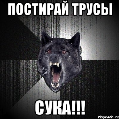 постирай трусы сука!!!, Мем Сумасшедший волк