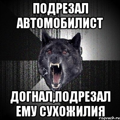 подрезал автомобилист догнал,подрезал ему сухожилия, Мем Сумасшедший волк