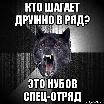 кто шагает дружно в ряд? это нубов спец-отряд, Мем Сумасшедший волк