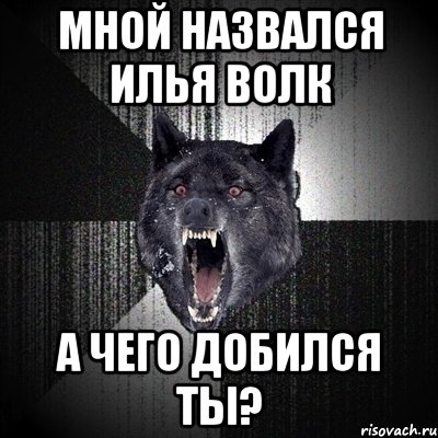 мной назвался илья волк а чего добился ты?, Мем Сумасшедший волк