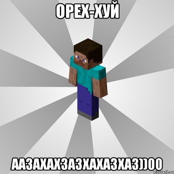 орех-хуй аазахахзазхахазхаз))00, Мем Типичный игрок Minecraft