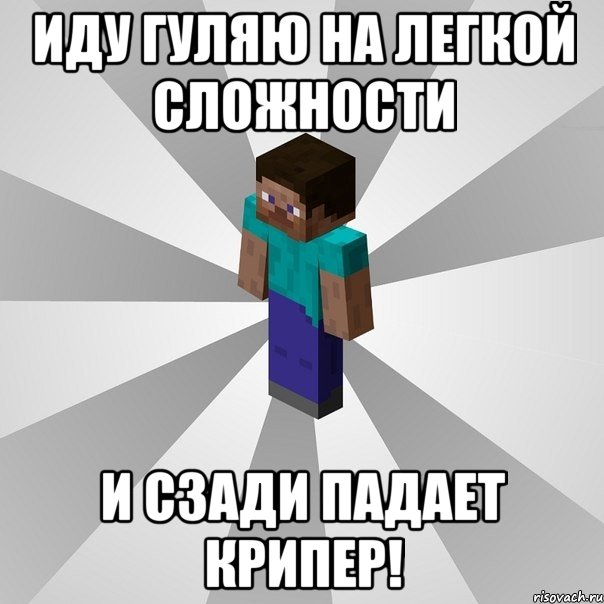 иду гуляю на легкой сложности и сзади падает крипер!, Мем Типичный игрок Minecraft