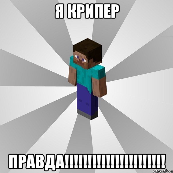 я крипер правда!!!, Мем Типичный игрок Minecraft