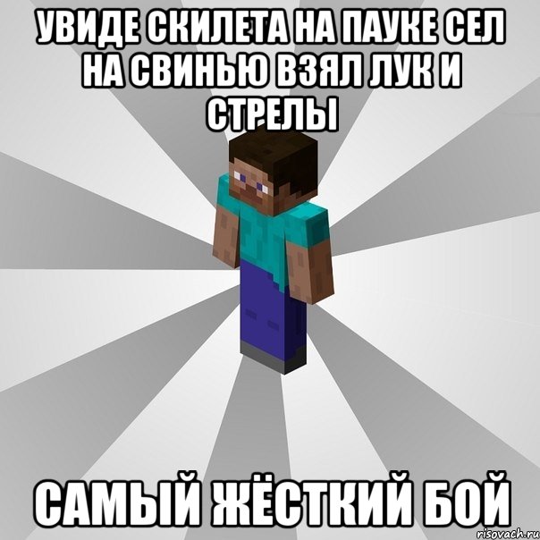 увиде скилета на пауке сел на свинью взял лук и стрелы самый жёсткий бой, Мем Типичный игрок Minecraft