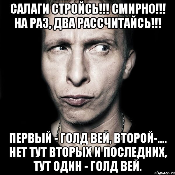 салаги стройсь!!! смирно!!! на раз, два рассчитайсь!!! первый - голд вей, второй-.... нет тут вторых и последних, тут один - голд вей., Мем  Типичный Охлобыстин