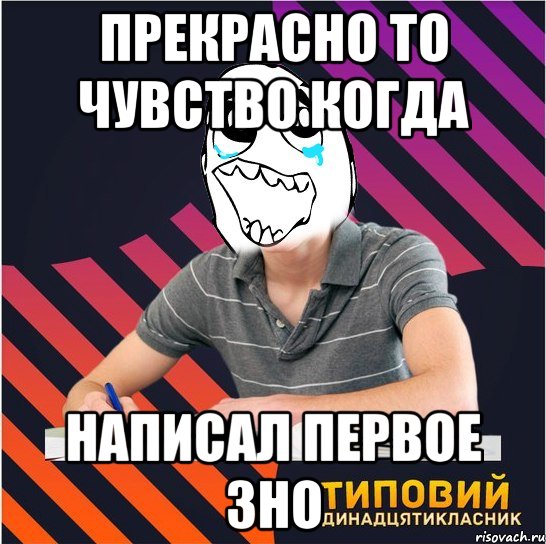 прекрасно то чувство когда написал первое зно, Мем Типовий одинадцятикласник