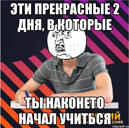 эти прекрасные 2 дня, в которые ты наконето начал учиться, Мем Типовий одинадцятикласник