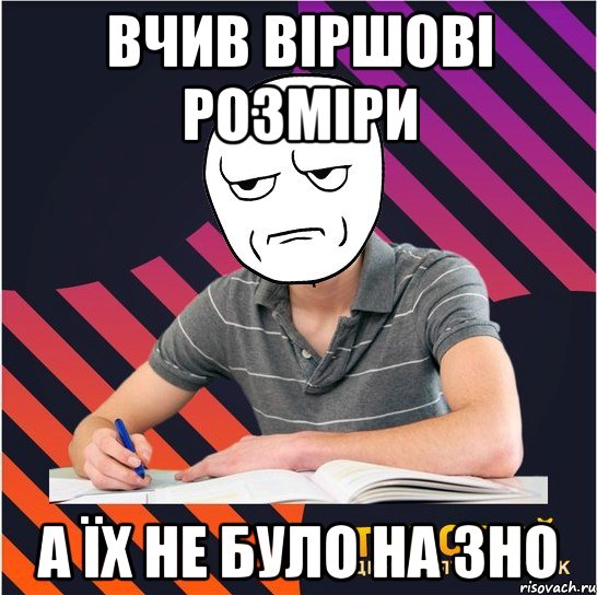 вчив віршові розміри а їх не було на зно