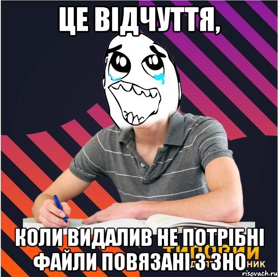 це відчуття, коли видалив не потрібні файли повязані з зно, Мем Типовий одинадцятикласник