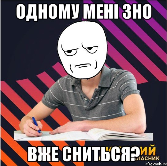 одному мені зно вже сниться?, Мем Типовий одинадцятикласник