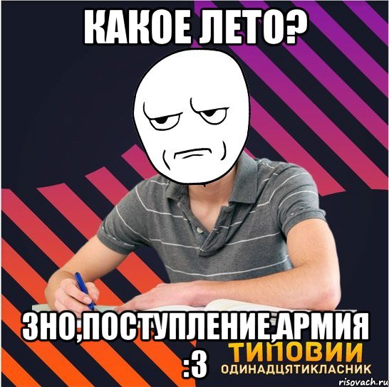 какое лето? зно,поступление,армия :з, Мем Типовий одинадцятикласник