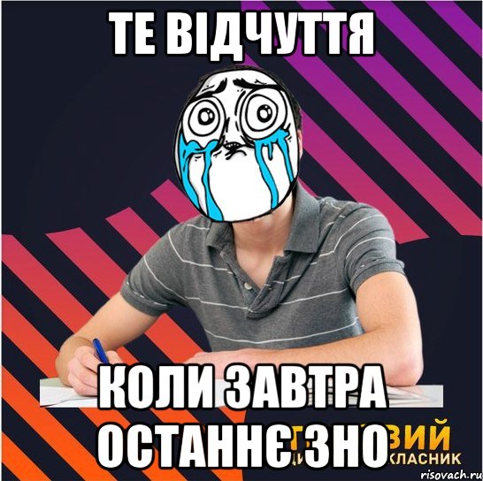 те відчуття коли завтра останнє зно, Мем Типовий одинадцятикласник