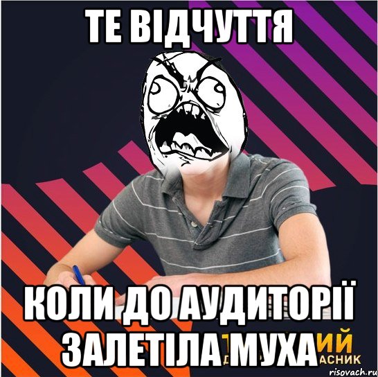 те відчуття коли до аудиторії залетіла муха, Мем Типовий одинадцятикласник