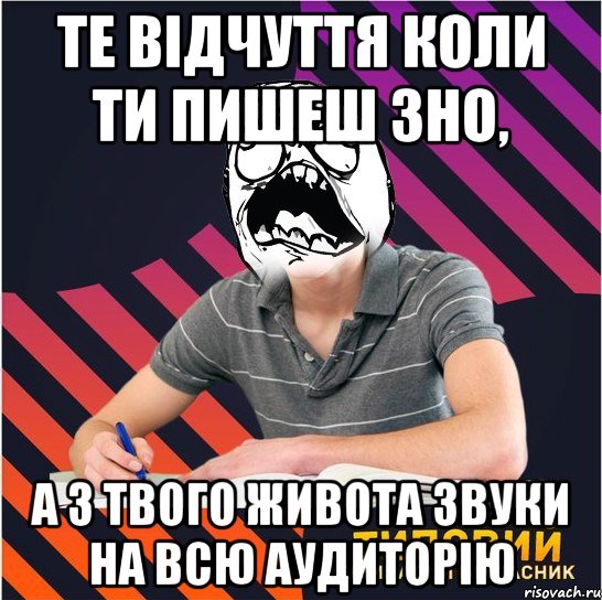 те відчуття коли ти пишеш зно, а з твого живота звуки на всю аудиторію, Мем Типовий одинадцятикласник