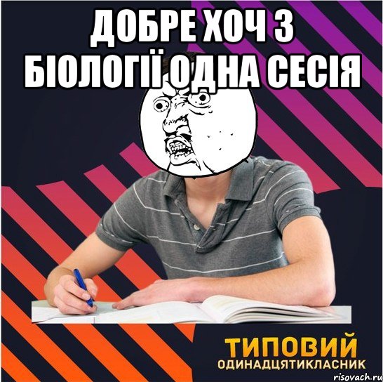 добре хоч з біології одна сесія , Мем Типовий одинадцятикласник