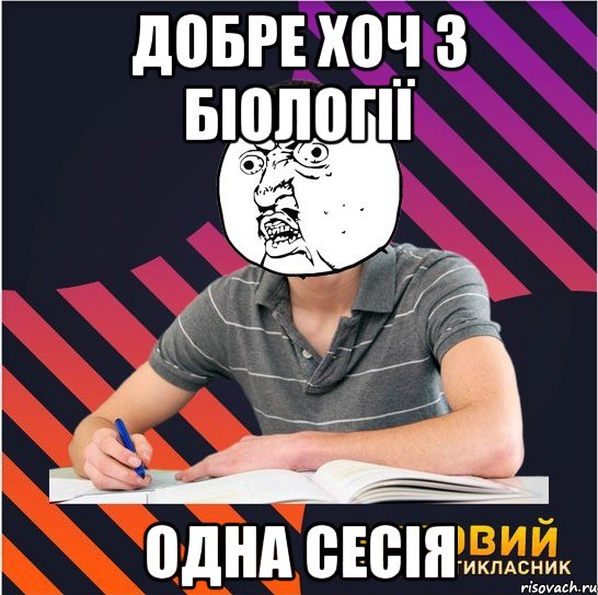 добре хоч з біології одна сесія, Мем Типовий одинадцятикласник