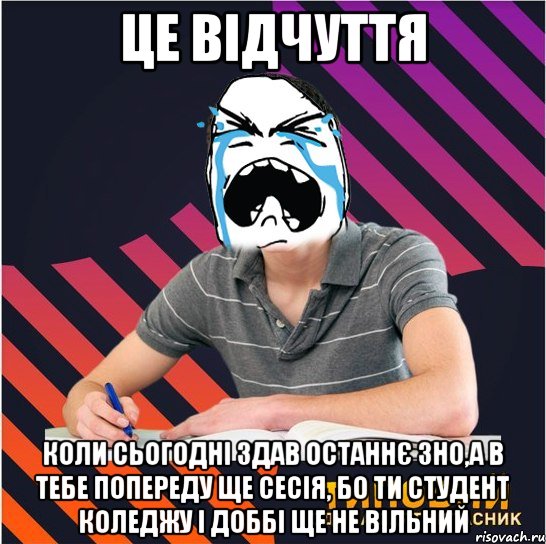 це відчуття коли сьогодні здав останнє зно,а в тебе попереду ще сесія, бо ти студент коледжу і доббі ще не вільний, Мем Типовий одинадцятикласник