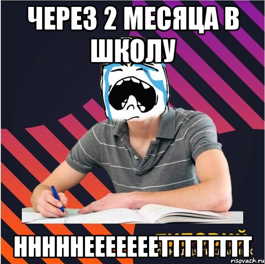 через 2 месяца в школу нннннееееееетттттттт, Мем Типовий одинадцятикласник