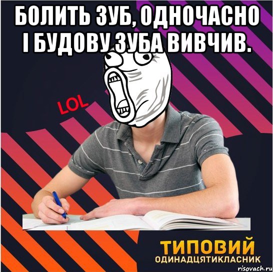 болить зуб, одночасно і будову зуба вивчив. 