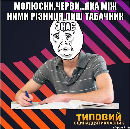 молюски,черви...яка між ними різниця,лиш табачник знає , Мем Типовий одинадцятикласник