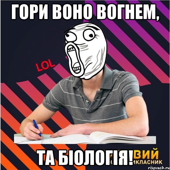 гори воно вогнем, та біологія!, Мем Типовий одинадцятикласник