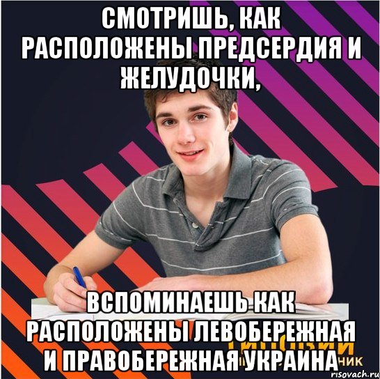 смотришь, как расположены предсердия и желудочки, вспоминаешь как расположены левобережная и правобережная украина