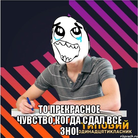  то прекрасное чувство,когда сдал все зно!, Мем Типовий одинадцятикласник
