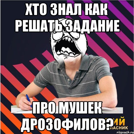 хто знал как решать задание про мушек дрозофилов?, Мем Типовий одинадцятикласник