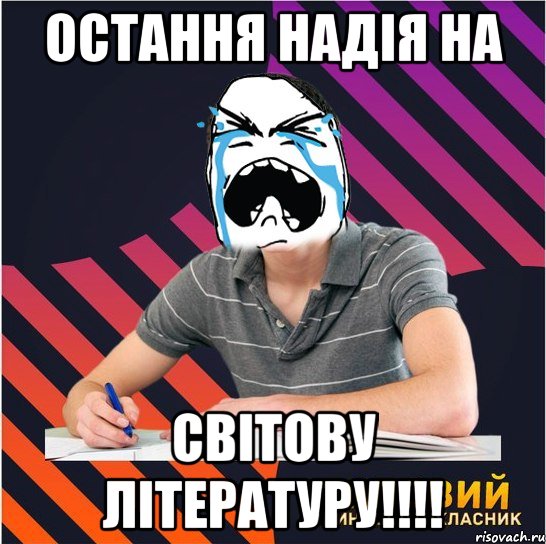 остання надія на світову літературу!!!, Мем Типовий одинадцятикласник