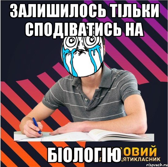 залишилось тільки сподіватись на біологію, Мем Типовий одинадцятикласник