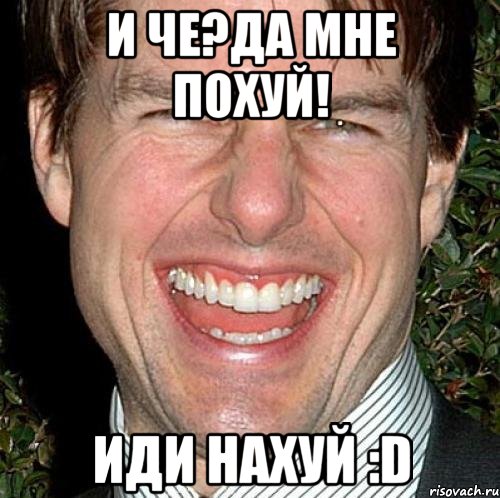 и че?да мне похуй! иди нахуй :d, Мем Том Круз