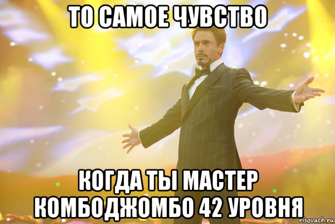 то самое чувство когда ты мастер комбоджомбо 42 уровня, Мем Тони Старк (Роберт Дауни младший)