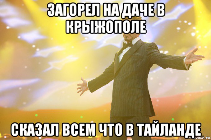 загорел на даче в крыжополе сказал всем что в тайланде, Мем Тони Старк (Роберт Дауни младший)