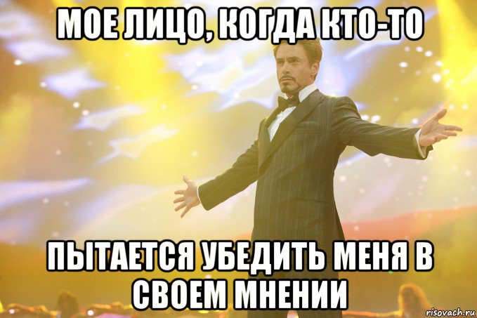 мое лицо, когда кто-то пытается убедить меня в своем мнении, Мем Тони Старк (Роберт Дауни младший)