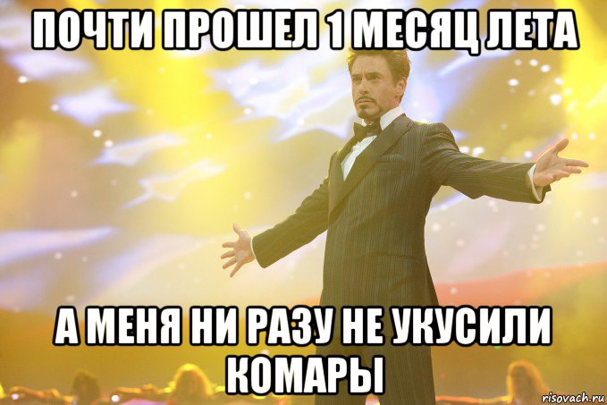 почти прошел 1 месяц лета а меня ни разу не укусили комары, Мем Тони Старк (Роберт Дауни младший)