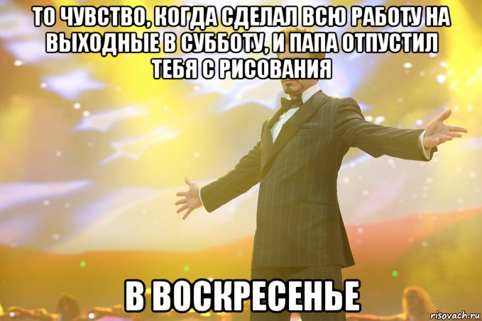 то чувство, когда сделал всю работу на выходные в субботу, и папа отпустил тебя с рисования в воскресенье, Мем Тони Старк (Роберт Дауни младший)