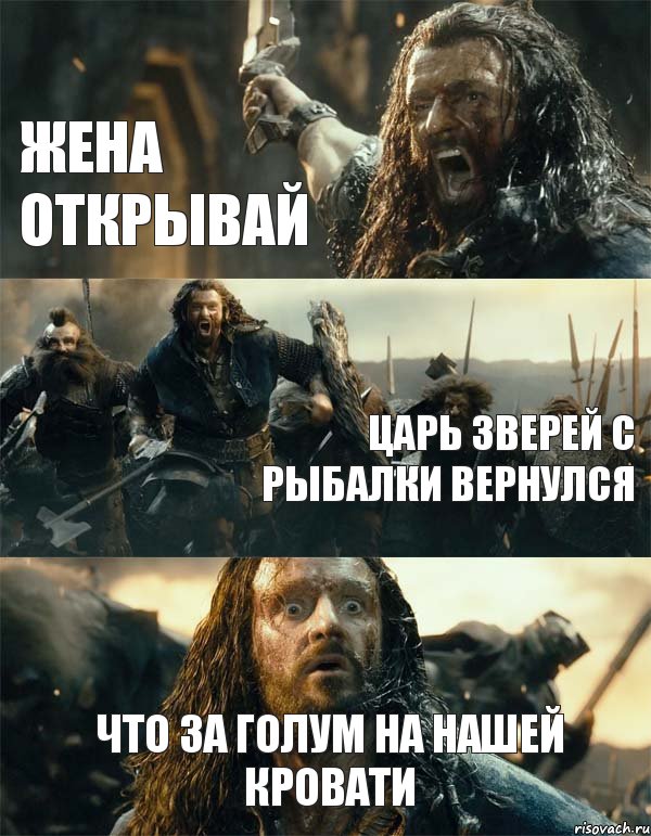 жена открывай царь зверей с рыбалки вернулся что за голум на нашей кровати