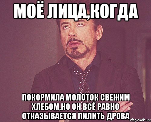 моё лица,когда покормила молоток свежим хлебом,но он всё равно отказывается пилить дрова, Мем твое выражение лица