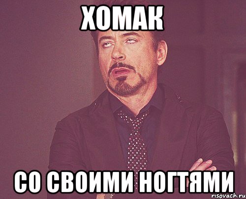 хомак со своими ногтями, Мем твое выражение лица
