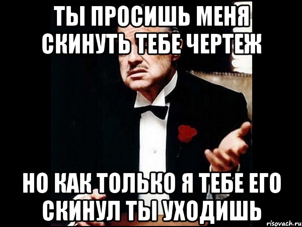 ты просишь меня скинуть тебе чертеж но как только я тебе его скинул ты уходишь, Мем ты делаешь это без уважения